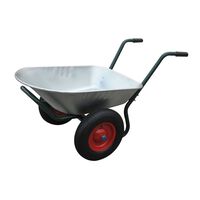 vidaXL Carriola da Giardino con 2 Ruote 66 L