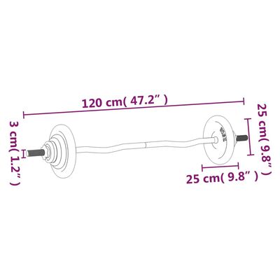 vidaXL Set Bilanciere con Dischi 60 kg in Ghisa e Acciaio Cromato