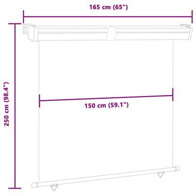 vidaXL Tendalino Laterale per Balcone 165x250 cm Nero