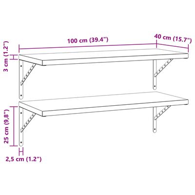 vidaXL Mensole a Muro 2 pz 100x40 cm Nero in Acciaio Inossidabile