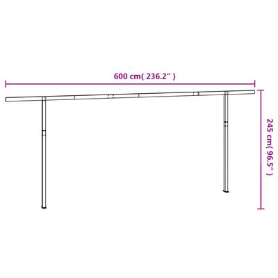 vidaXL Set Pali per Tenda da Sole Antracite 600x245 cm Ferro