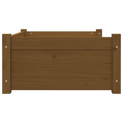 vidaXL Cuccia per Cani Ambra 75,5x55,5x28cm in Legno Massello di Pino