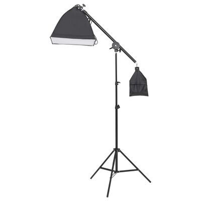 vidaXL Kit per Studio Fotografico con Set di Luci e Fondale