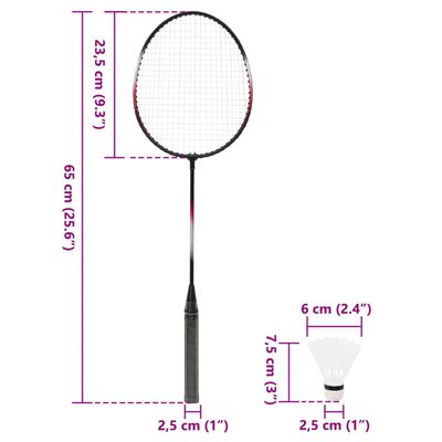 vidaXL Set da Badminton con 2 Racchette, Rete e Custodia 292x30x152 cm