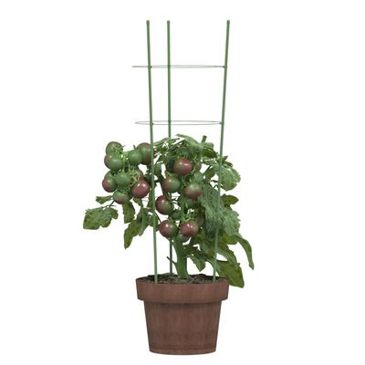 vidaXL Supporti Piante da Giardino con 3 Anelli 5pz Verde 60cm Acciaio