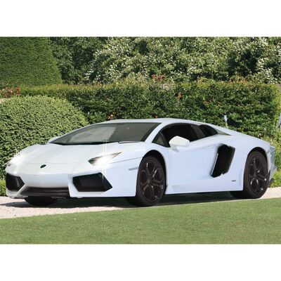 JAMARA Auto RC Supercar Lamborghini Aventador 1:14 Bianca