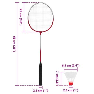 vidaXL Set da Badminton con 4 Racchette e Rete 620x151 cm