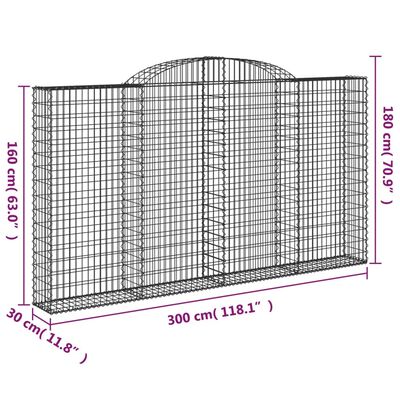 vidaXL Cesti Gabbioni ad Arco 2 pz 300x30x160/180 cm Ferro Zincato