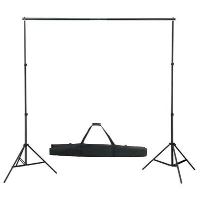 vidaXL Kit per Studio Fotografico con Luci Softbox e Fondale