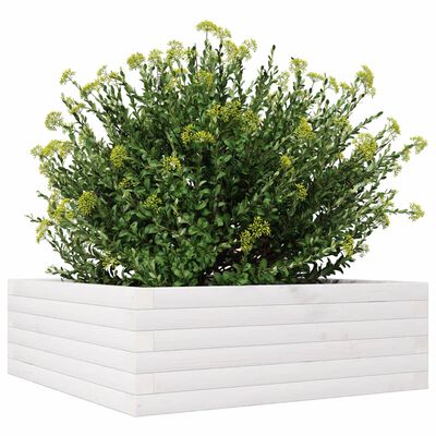 vidaXL Fioriera da Giardino Bianca 70x70x23 cm Legno Massello di Pino