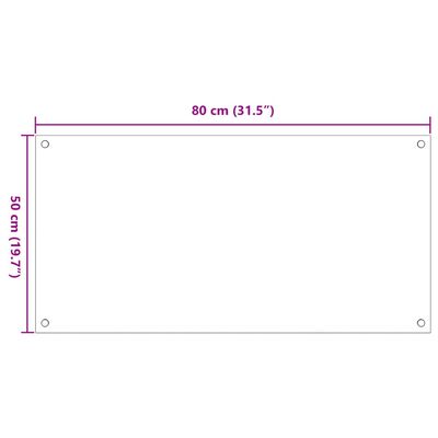 vidaXL Paraschizzi per Cucina 2 pz Trasparente 80x50cm Vetro Temperato