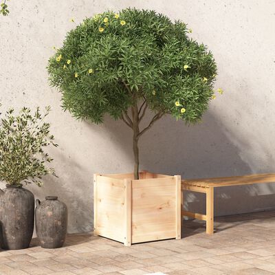 vidaXL Fioriera da Giardino 50x50x50 cm in Legno Massello di Pino