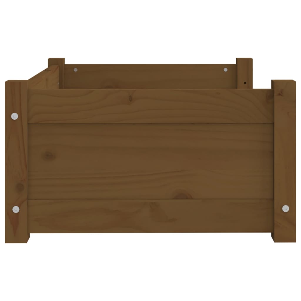 vidaXL Cuccia per Cani ambra 65,5x50,5x28cm in Legno Massello di Pino