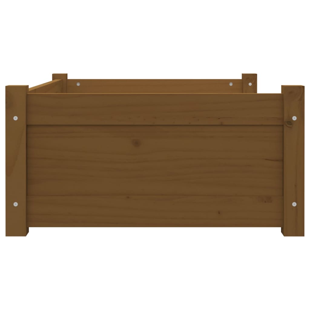 vidaXL Cuccia per Cani Ambra 75,5x55,5x28cm in Legno Massello di Pino