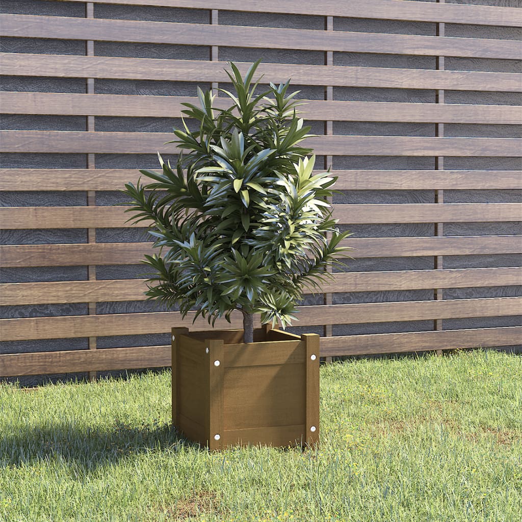 vidaXL Fioriera Giardino Marrone Ambra 31x31x31 cm Legno Massello Pino