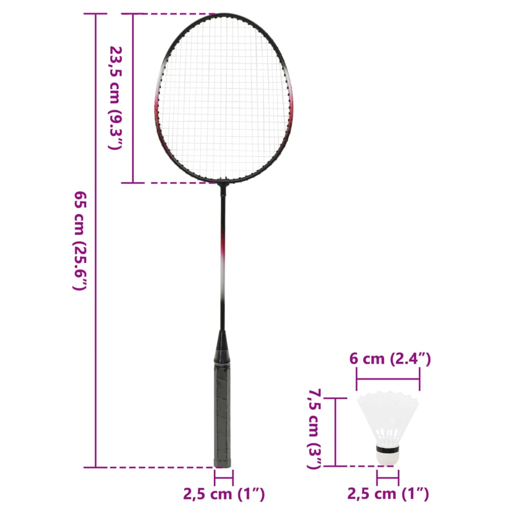 vidaXL Set da Badminton con 2 Racchette, Rete e Custodia 292x30x152 cm