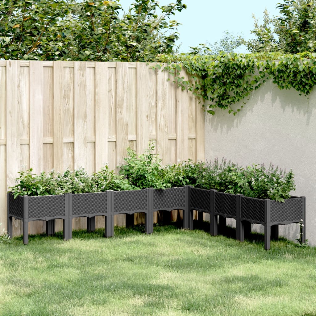 vidaXL Fioriera da Giardino con Gambe Nera 200x160x42 cm in PP