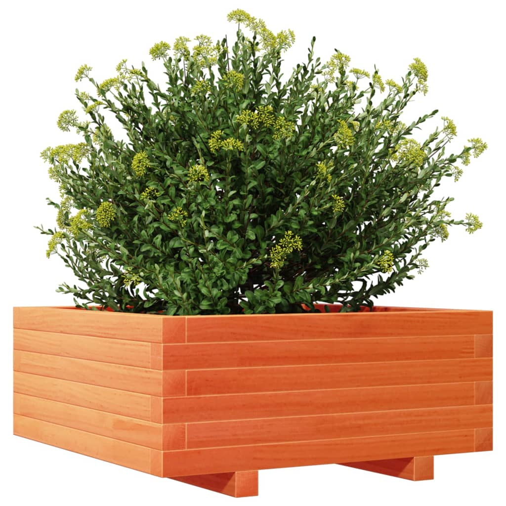 vidaXL Fioriera Giardino Marrone Cera 60x60x26,5cm Legno Massello Pino