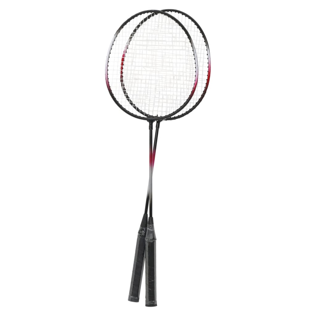 vidaXL Set da Badminton con 2 Racchette, Rete e Custodia 292x30x152 cm