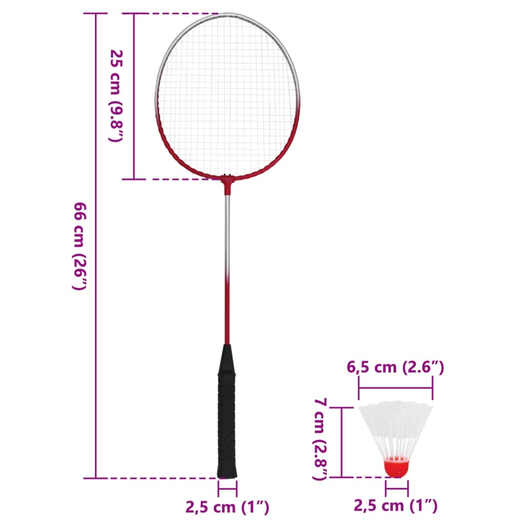 vidaXL Set da Badminton con 4 Racchette e Rete 620x151 cm