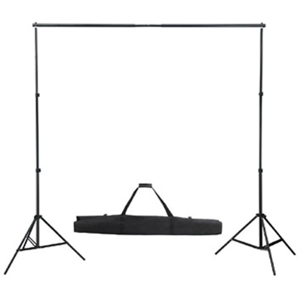 vidaXL Set Studio Fotografico Fondale Bianco 600x300 cm con Luci