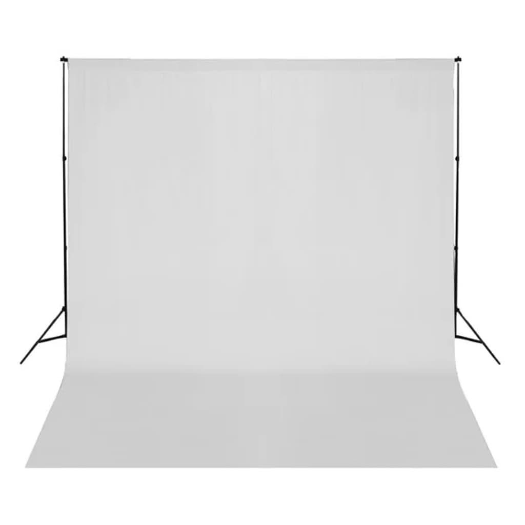 vidaXL Kit per Studio Fotografico con Luci Softbox e Fondale