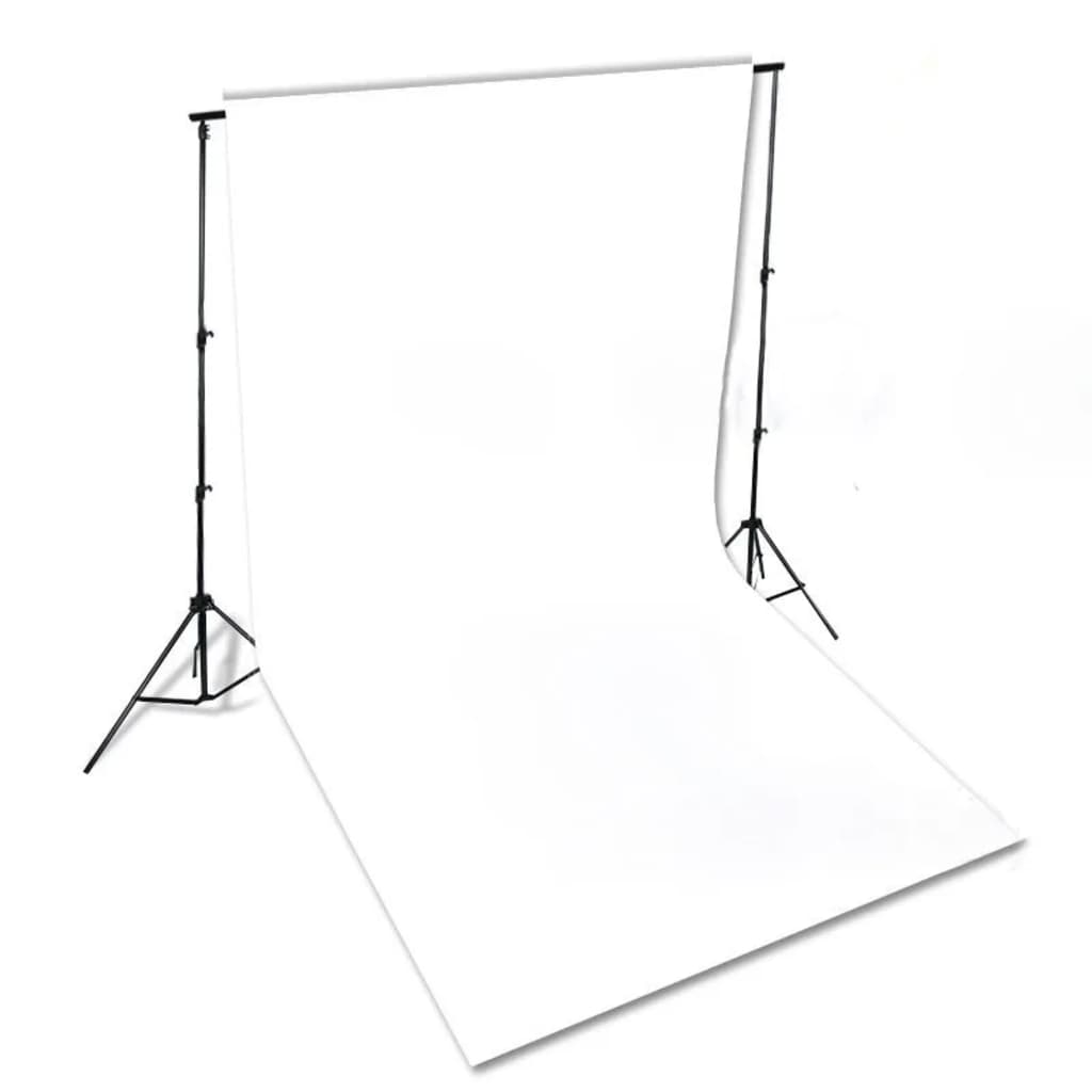 vidaXL Kit per Studio Fotografico con Luci Softbox e Fondale