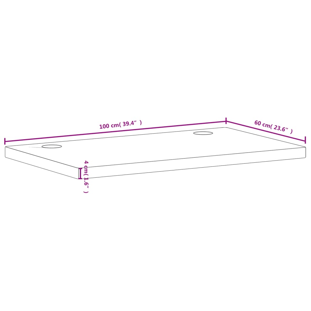 vidaXL Piano Scrivania 100x60x4 cm in Legno Massello di Faggio